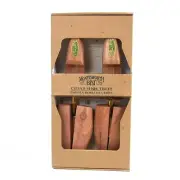 Moneysworth Cedar Shoe Tree With Hook Heels (M)