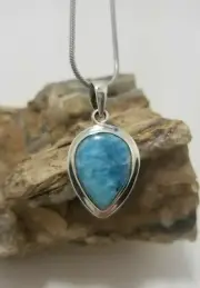 Pendant (P259) Navajo Larimar Teardrop