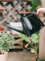 WATERING KETTLE FOR FLOWERS/// 德國家用長嘴澆水壺家用澆花水壺灑水壺澆水神器噴壺長嘴壺澆花