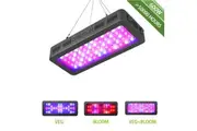 Criusun Optical Lens, Full Spectrum Powerful LED Grow Light with Bloom Veg Switch for Indoor Plants - 600W