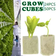 24/50Grow Plug Garden Hydroponic Cubes Rockwool Media Spread Cloning Rock Wool*