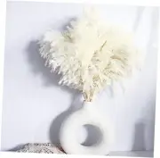 White Pampas Grass for Home Decor - Elegant Boho Decor - Premium 20-White