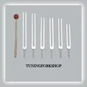 6 Pc Solfeggio Tuning Fork Including 528 hz With Mallet & Pouch