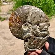 482G Rare! Natural Tentacle Ammonite FossilSpecimen Shell Healing Madagascar