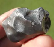 55.59 gram - SIKHOTE ALIN IRON METEORITE - thumbprinted specimen - 1947 fall