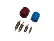 A/C System Valve Core and Cap Kit For 2003-2009 Jaguar XJR 2005 2004 SN737DX (for: Jaguar)