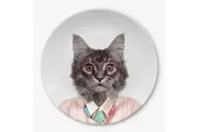 Mustard Wild Dining 23cm Ceramic Dinner Plate Home Party Dinnerware Round Cat