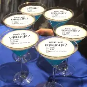 Are We Drunk Funny Edible Cocktail Drink Toppers