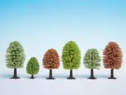 NOCH - Lot of 25 spring deciduous trees of heights 5 to 9 cm - - NOC26806