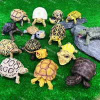 在飛比找蝦皮購物優惠-【閃電聯盟】陸龜模型 烏龜模型 陸龜公仔 星龜 蘇卡達 亞達