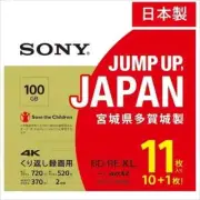 SONY BD-RE XL Blu-ray Disc 100GB 2x 11pcs 11BNE3VZPS2 For repeated recording