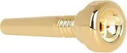 Totority Brass Trumpet Mouthpiece Gold-plated Small Trumpet for Beginners Adults and Music Students 17c Model