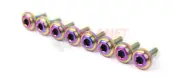 Ford Falcon FG FGX BARRA Coil Cover Titanium Bolts SET RAINBOW XR6 Turbo 4.0L