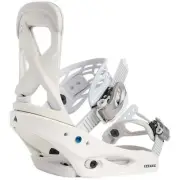 Burton Scribe 2024 in Rock Lichen, Stout White