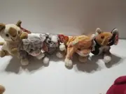 Ty Beanie Babies Lot of 5 Cats Error Tags Rare