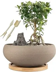 MUZHI Round Unglazed Ceramic Bonsai Pot with Bamboo Tray, Large Rough Pottery Succulent Planter with Drainage Hole 8 inch …