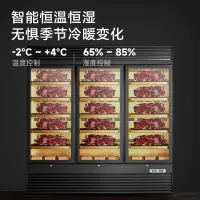 在飛比找樂天市場購物網優惠-馳能商用牛排熟成柜風干式牛肉排酸展示柜西餐廳風冷保鮮冷藏冰箱