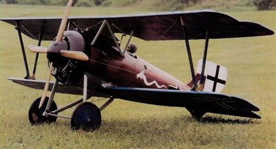Giant 1/3 Scale German WW-I Siemens Schuckert D-III Biplane Plans, Instr 110ws