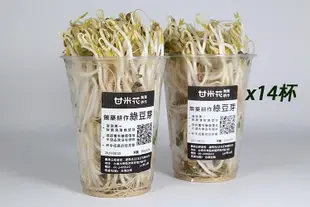 甘米花-豆芽菜分享組(14杯)