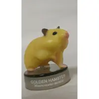 在飛比找蝦皮購物優惠-A-10 櫃 現況品 ：KAIYODO HAMSTER 倉鼠