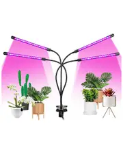 Fresh Fab Finds Grow Lights for Indoor Plants