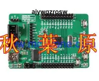 在飛比找露天拍賣優惠-【秋葉原電腦周邊-旗艦店】正 LPC1313最小系統板 NX