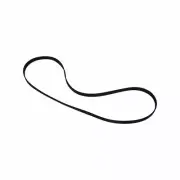 Turntable Belt for YORX Models 2106 2116 2525 M2030 M2305