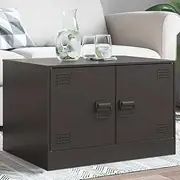 Modern Black Steel Coffee Table, Smooth Surface, Ample Storage for Living Room, Apartment