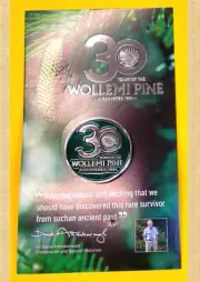 WOLLEMI PINE TREE 30 YEAR DISCOVERY PIN 163507