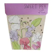 Sweet Pea Gift of Seeds - Sow 'n Sow