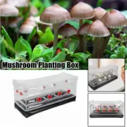 Mushroom Grow Kit Inflatable Monotub Grow Bag w Plug Filter Fresh Air Exchange