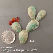 Patagonia Turquoise & Carnelian PricklyPear. 8 Stone Set. Handmade. #875