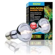 Exo Terra Halogen Basking Spot Lamp - 50 Watt (PT2181)