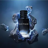 在飛比找Yahoo!奇摩拍賣優惠-Dior 迪奧 SAUVAGE 曠野之心淡香水 100ml 