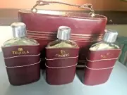 Travel Bar MCM Leather Carrying Case 3 Glass Flasks Tequila Cognac Whiskey+2shot