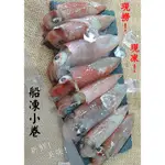 ★金星冷凍食品福利社★船凍生小卷(2排)(300G±10%)(約8-12隻)-全館任選滿2000元免運費