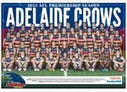 Adelaide crows 2023 TEAM POSTER,AFL FOOTBALL , FREE POST 8