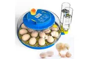 Advwin 18 Eggs Incubator for Hatching Eggs