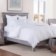 Bedding King All-Season Pure Microfibre Quilt Double