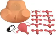 Female Reproductive Organs Model, Female Gynecological Manikin Model, Life Size Gynecologic Pathology Model, with Replaceable Uterus Model Suitable, for Learning and Training