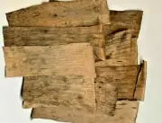 Dried Banana Leaves Organic Ceylon Pet Supplies Care Fish Aquariums Free
