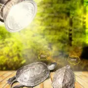Reptile Light Bulb UV Heat Lamp Tortoise Turtle Calcium Supplement E27 UVB UVA