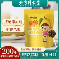 在飛比找蝦皮購物優惠-【一品茗香】 北京同仁堂 青源堂 秋梨膏棒棒糖80g小零食創