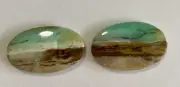 5.9g Indonesian Blue Opalized Petrified Wood Polished Cabochons -set Of 2