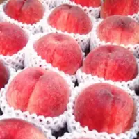 在飛比找蝦皮購物優惠-專賣日本水果系列【日本和歌山.山形1箱5KG室外.溫室水蜜桃