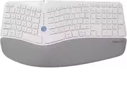 DELUX GM901D Wireless Ergonomic Keyboard White Only Bluetooth