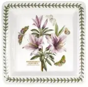 Portmeirion, Belladonna Lily, Amaryllis, Square Deep Pasta Bowl, Botanic Garden