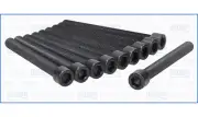 Cylinder Head Bolt Set FIAT PALIO 1.5 84 178E5.022 (6/2004-)