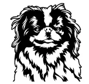 Cute Japanese Chin Black Vinyl Decal Car Windows Laptop Tablet Tumbler Notebook