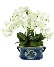 Creative Displays Orchids in a Blue Ceramic Planter with Handles